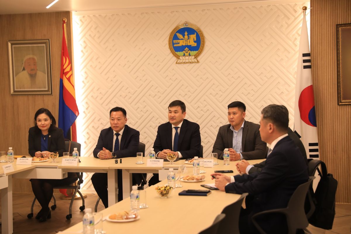 Ардчилсан намын удирдлагууд БНСУ-д оршин суугаа иргэдийн төлөөлөлтэй уулзлаа