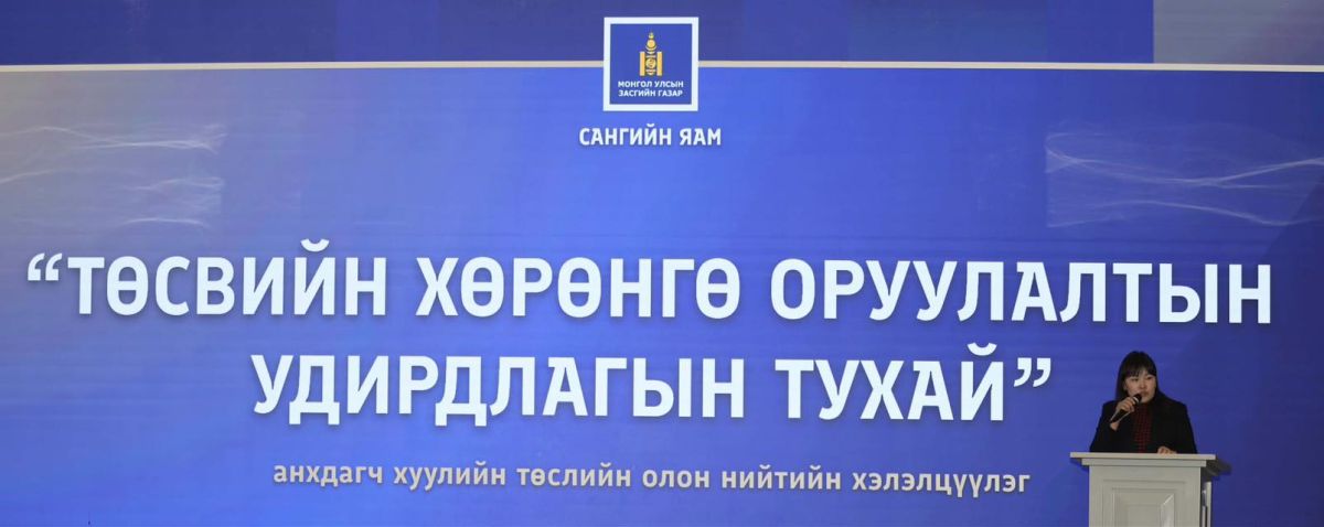 ТӨСВИЙН ХӨРӨНГӨ ОРУУЛАЛТЫН УДИРДЛАГЫН ТУХАЙ АНХДАГЧ ХУУЛИЙН ТӨСЛИЙГ ХЭЛЭЛЦҮҮЛЛЭЭ.