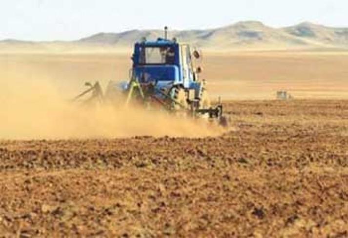 Ногоон тэжээлийг 2-3 ургамлын холимогоор тариалах нь тэжээллэг чанар болон ургацад эерэг нөлөөтэй