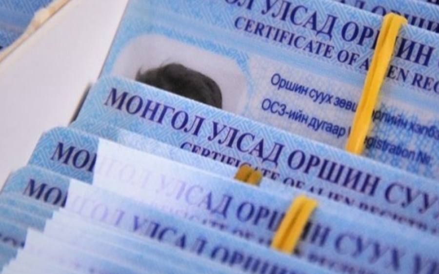 Гадаадын иргэдийн 50 гаруй хувь нь хөдөлмөр эрхлэх зорилгоор оршин сууж байна