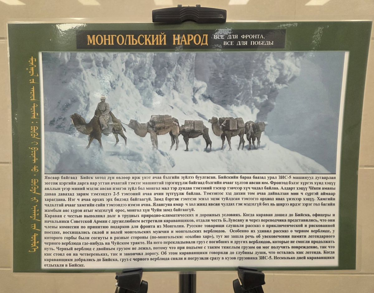 «Тэмээн жингийн цуваа. Бүхнийг фронтод» төслийн нээлт болов