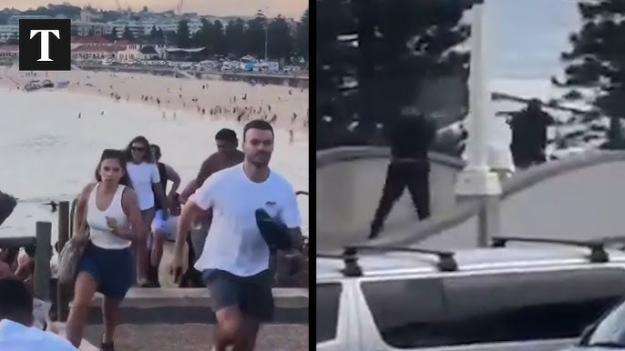 ШУУРХАЙ МЭДЭЭ:  Сиднейн Бонди далайн эрэгт болсон террорист халдлагын улмаас 12 амиа алджээ