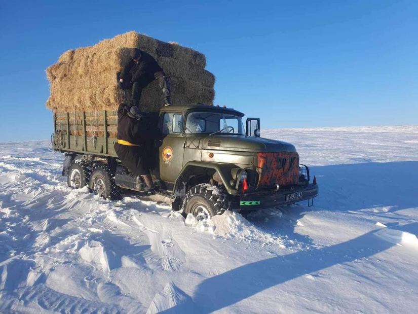 Аймаг, сумдад улсын нөөцөөс өвс, тэжээл олгох, цасанд боогдсон зам, давааг нээх хүнд машин механизм гаргахаар шийдвэрлэв