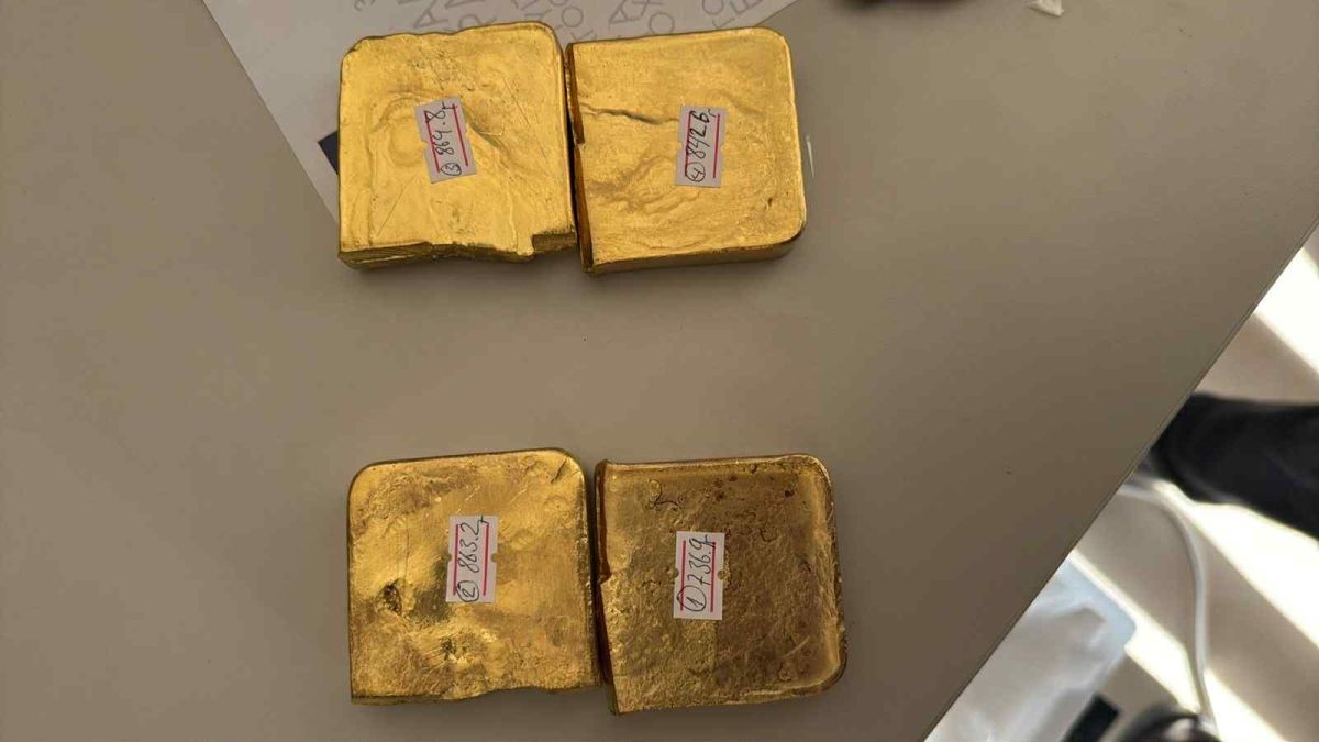 Тагнуулынхан улсын хилээр хууль бусаар нэвтрүүлэхийг завдсан их хэмжээний алт илрүүлжээ