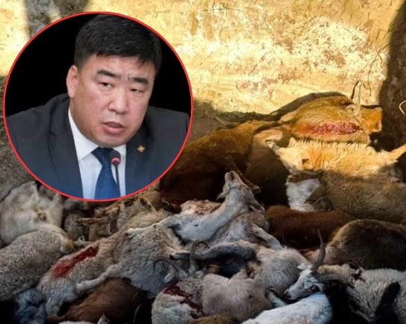 Ц.Идэрбат сайд “огцрох” болзлоо хангачихлаа...