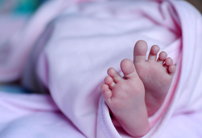 2024 оны нэгдүгээр сард төрсөн хүүхдэд “Эрдэнэс Тавантолгой“ ХК-ийн хувьцаа олгогдохгүй