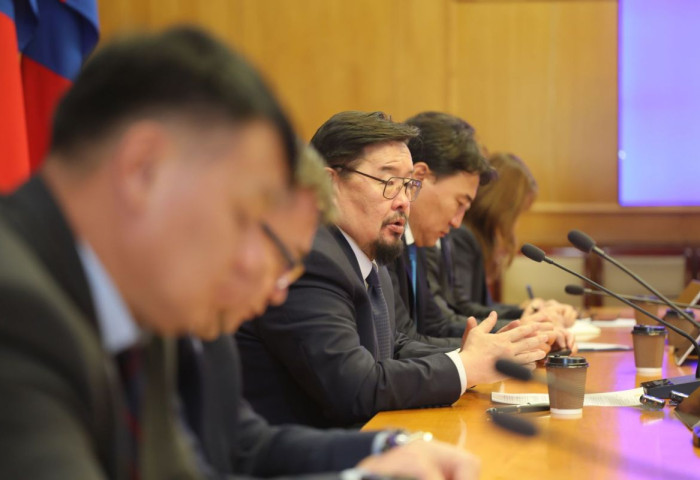 Баялгийн хулгайтай тэмцэх тусгай ажлын хэсэг байгууллаа