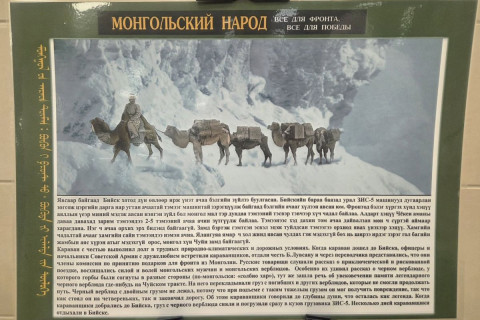 «Тэмээн жингийн цуваа. Бүхнийг фронтод» төслийн нээлт болов