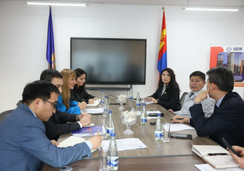 НҮБ-ын Хөгжлийн хөтөлбөрийн сэргээгдэх эрчим хүчний төслүүдэд хамтран ажиллах талаар санал солилцлоо