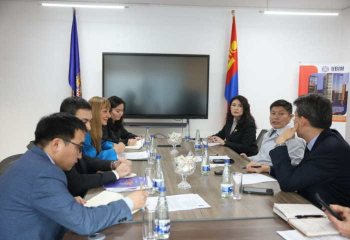 НҮБ-ын Хөгжлийн хөтөлбөрийн сэргээгдэх эрчим хүчний төслүүдэд хамтран ажиллах талаар санал солилцлоо