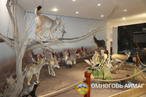 Говийн байгаль, түүхийн музей орчин үеийн чихмэл амьтдын үзмэрээр баяжлаа