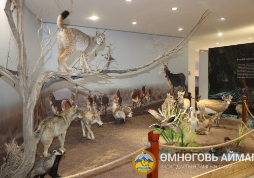 Говийн байгаль, түүхийн музей орчин үеийн чихмэл амьтдын үзмэрээр баяжлаа
