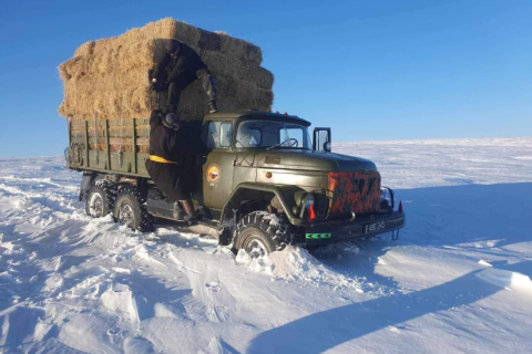 Аймаг, сумдад улсын нөөцөөс өвс, тэжээл олгох, цасанд боогдсон зам, давааг нээх хүнд машин механизм гаргахаар шийдвэрлэв