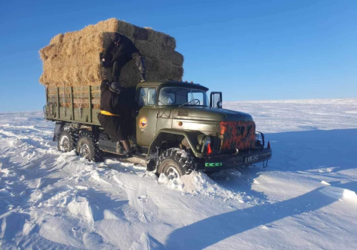 Аймаг, сумдад улсын нөөцөөс өвс, тэжээл олгох, цасанд боогдсон зам, давааг нээх хүнд машин механизм гаргахаар шийдвэрлэв