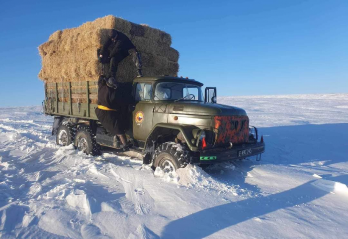 Аймаг, сумдад улсын нөөцөөс өвс, тэжээл олгох, цасанд боогдсон зам, давааг нээх хүнд машин механизм гаргахаар шийдвэрлэв