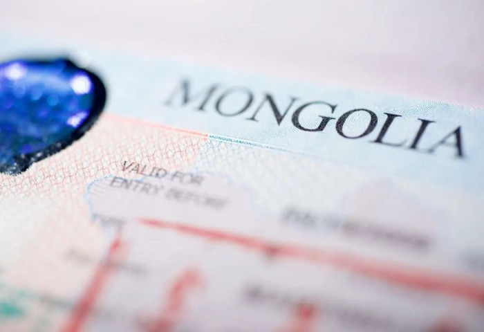 ГИХГ-аас өнгөрсөн онд 124 мянган гадаадын иргэнд виз олгожээ