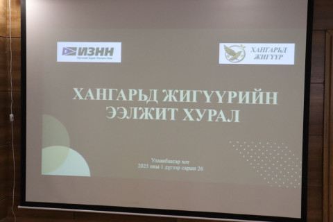 ИЗНН-ыг Батын Батбаатар төлөөлөхгүй гэв