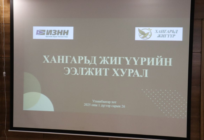 ИЗНН-ыг Батын Батбаатар төлөөлөхгүй гэв