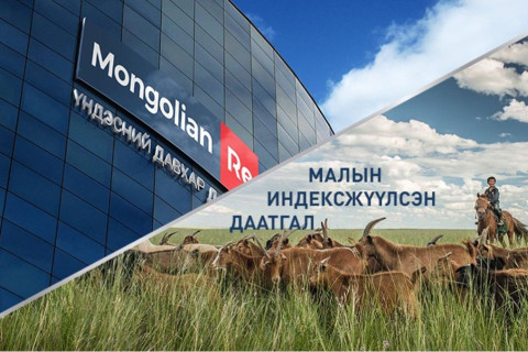 “Малын индексжүүлсэн даатгал“-ын нэгдүгээр босго үзүүлэлтийг таван хувь болгож буурууллаа