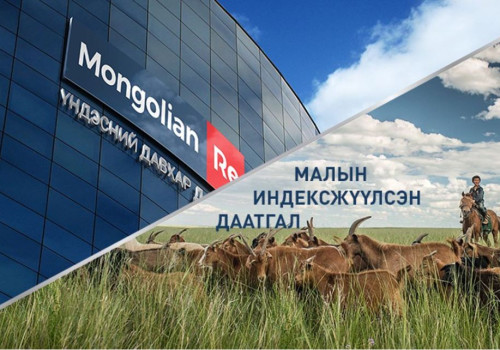 “Малын индексжүүлсэн даатгал“-ын нэгдүгээр босго үзүүлэлтийг таван хувь болгож буурууллаа