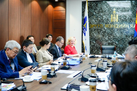 “Монгол Улсад Хэрэхийн шалтгаант хүүхдийн зүрхний өвчнөөс урьдчилан сэргийлэх, бууруулах” төслийн зөвлөх хорооны хурал боллоо