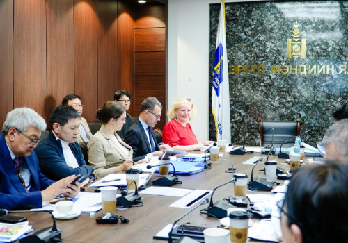 “Монгол Улсад Хэрэхийн шалтгаант хүүхдийн зүрхний өвчнөөс урьдчилан сэргийлэх, бууруулах” төслийн зөвлөх хорооны хурал боллоо