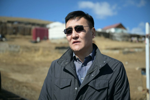 Н.Отгонбаяр: Нохой, муураа тэжээх боломжгүй болсон тохиолдолд түр асрах байранд шилжүүлэх, эзэнтэй болгохыг уриалж байна