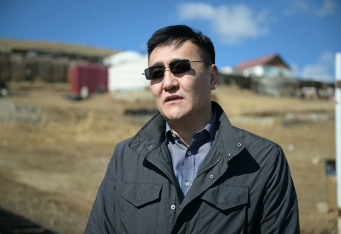 Н.Отгонбаяр: Нохой, муураа тэжээх боломжгүй болсон тохиолдолд түр асрах байранд шилжүүлэх, эзэнтэй болгохыг уриалж байна