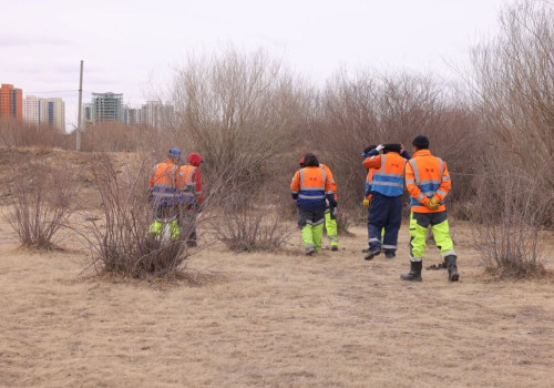 Туул голын ай савыг цэвэрлэж, 176.5 тонн хог хаягдлыг хогийн цэгт зөөвөрлөлөө