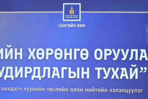 ТӨСВИЙН ХӨРӨНГӨ ОРУУЛАЛТЫН УДИРДЛАГЫН ТУХАЙ АНХДАГЧ ХУУЛИЙН ТӨСЛИЙГ ХЭЛЭЛЦҮҮЛЛЭЭ.