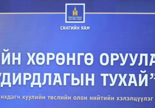 ТӨСВИЙН ХӨРӨНГӨ ОРУУЛАЛТЫН УДИРДЛАГЫН ТУХАЙ АНХДАГЧ ХУУЛИЙН ТӨСЛИЙГ ХЭЛЭЛЦҮҮЛЛЭЭ.