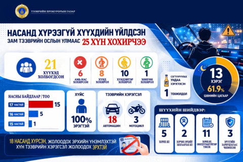 Насанд хүрээгүй хүүхдийн үйлдсэн зам тээврийн ослын улмаас 25 хүн хохирчээ