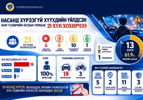 Насанд хүрээгүй хүүхдийн үйлдсэн зам тээврийн ослын улмаас 25 хүн хохирчээ