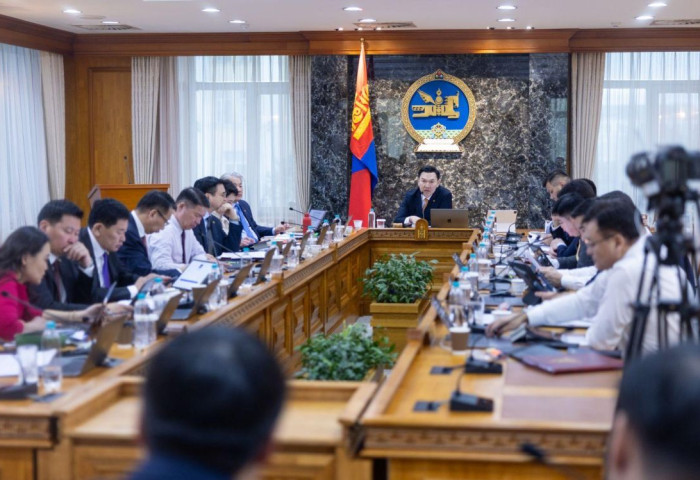 Эх оронч худалдан авалтыг дэмжиж, цахим дэлгүүрт байршуулна