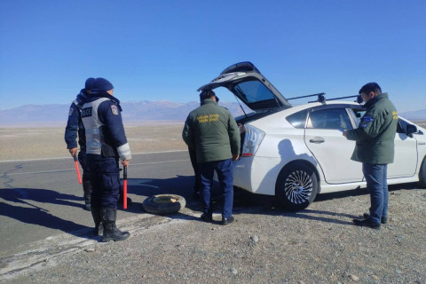 Хууль бус ан агнуур буурахгүй байна: 165 зөрчил илрүүлж, 669 амьтан хууль бусаар агнасныг тогтоожээ