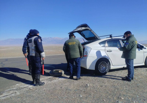 Хууль бус ан агнуур буурахгүй байна: 165 зөрчил илрүүлж, 669 амьтан хууль бусаар агнасныг тогтоожээ