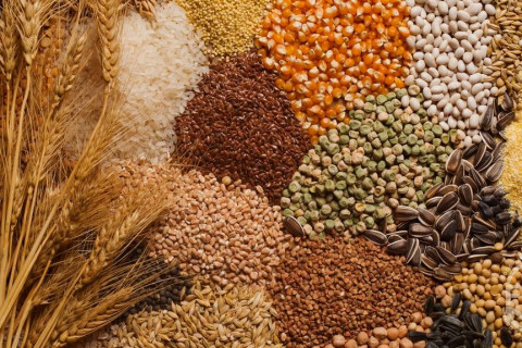 Экспортолсон ургамлын гаралтай бүтээгдэхүүний хэмжээ 183.5 мянган тоннд хүрэв