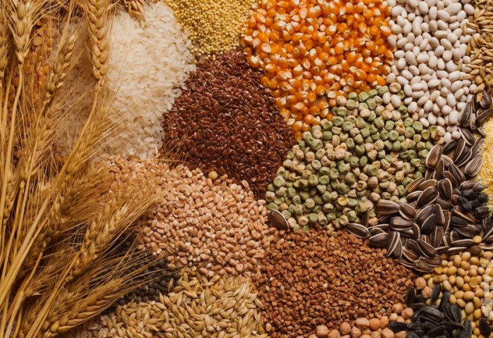 Экспортолсон ургамлын гаралтай бүтээгдэхүүний хэмжээ 183.5 мянган тоннд хүрэв