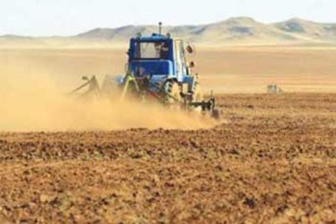 Ногоон тэжээлийг 2-3 ургамлын холимогоор тариалах нь тэжээллэг чанар болон ургацад эерэг нөлөөтэй