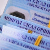 Гадаадын иргэдийн 50 гаруй хувь нь хөдөлмөр эрхлэх зорилгоор оршин сууж байна
