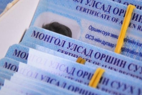 Гадаадын иргэдийн 50 гаруй хувь нь хөдөлмөр эрхлэх зорилгоор оршин сууж байна