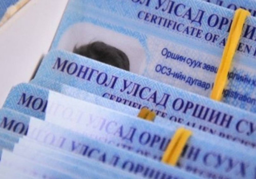 Гадаадын иргэдийн 50 гаруй хувь нь хөдөлмөр эрхлэх зорилгоор оршин сууж байна