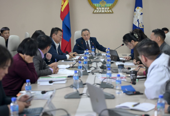 Засгийн газрын Хяналт хэрэгжүүлэх газраас хөгжлийн бодлогын баримт бичгийн хэрэгжилтэд хяналт, шинжилгээ хийж байна