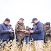 Газар тариалан эрхлэгчдийг дэмжих бодлогын үр дүнд улаанбуудайн тариалалт 85.8 хувиар нэмэгджээ