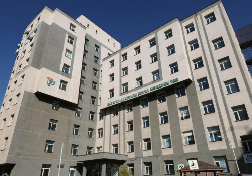 Томуугийн дэгдэлтээс хамаарч, нийслэлийн 12 эрүүл мэндийн байгууллагад 1607 хүүхдийн тусламжийн ор дэлгэнэ