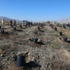 Үндэсний цэцэрлэгт хүрээлэнд 1000 мод тарилаа