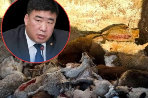 Ц.Идэрбат сайд “огцрох” болзлоо хангачихлаа...