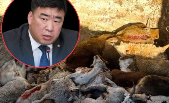 Ц.Идэрбат сайд “огцрох” болзлоо хангачихлаа...