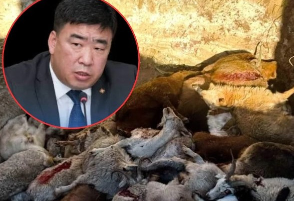 Ц.Идэрбат сайд “огцрох” болзлоо хангачихлаа...