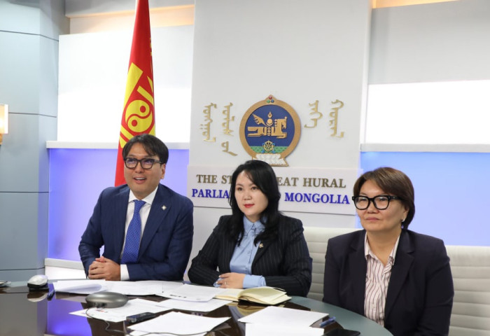 Монгол Улсын Их Хурал, Мексикийн Нэгдсэн Улсын Конгресс дахь парламентын найрамдлын бүлгийн гишүүд цахим уулзалт хийлээ